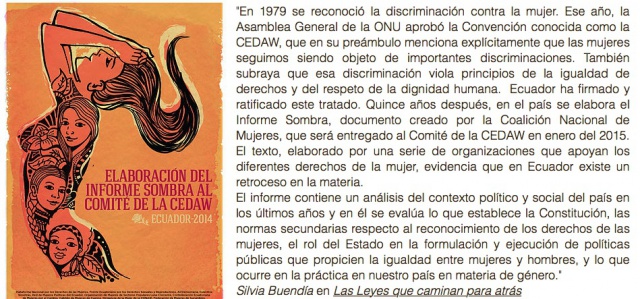 med_informe_sombra_cedaw2017.jpeg
